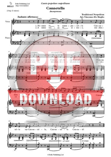 Trad. (arr. Vincenzo De Meglio): Cannetella