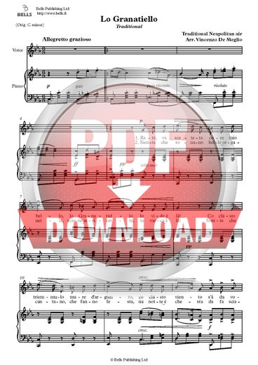 Trad. (arr. Vincenzo De Meglio): Lo Granatiello